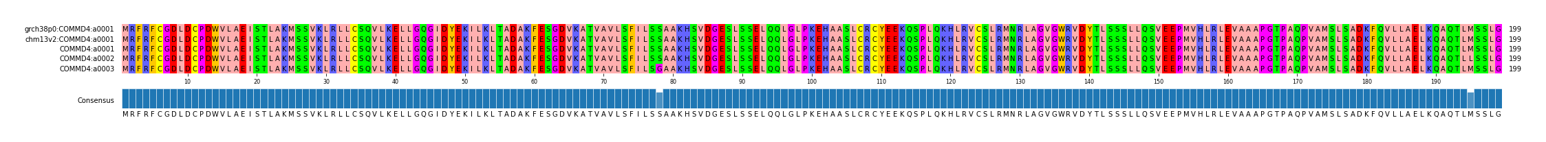 Multiple Alignments (by translate haplotype frequency)