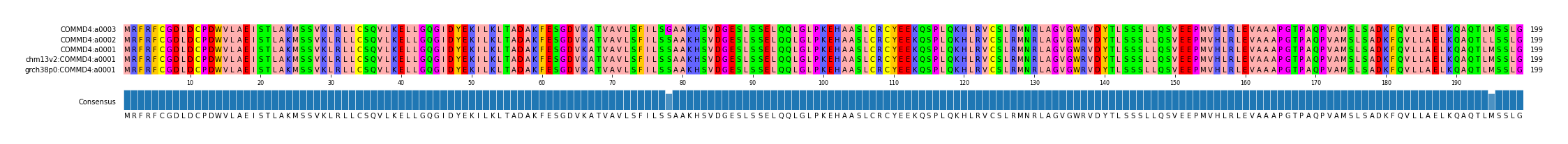 Multiple Alignments (by translate haplotype similarity)