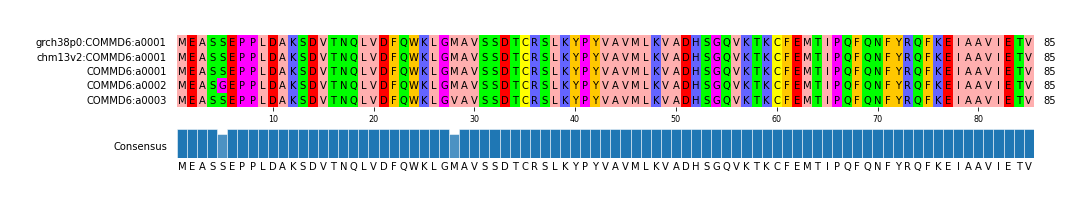 Multiple Alignments (by translate haplotype frequency)
