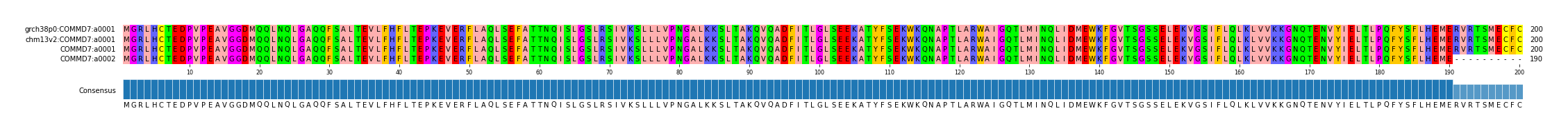 Multiple Alignments (by translate haplotype similarity)