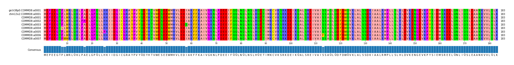 Multiple Alignments (by translate haplotype frequency)