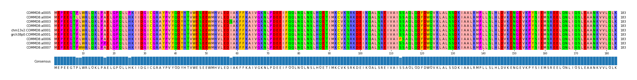 Multiple Alignments (by translate haplotype similarity)
