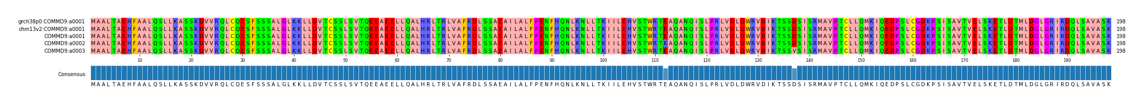 Multiple Alignments (by translate haplotype frequency)