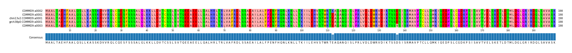 Multiple Alignments (by translate haplotype similarity)