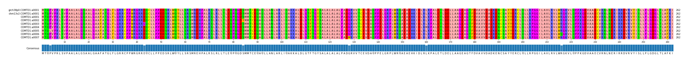 Multiple Alignments (by translate haplotype frequency)