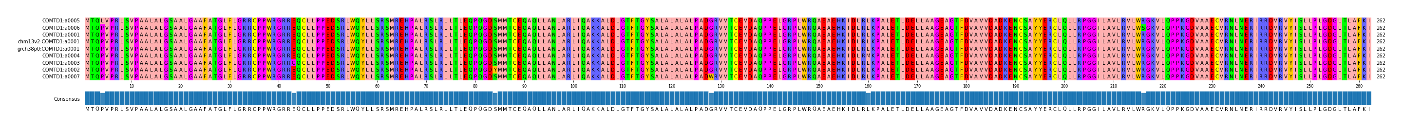 Multiple Alignments (by translate haplotype similarity)