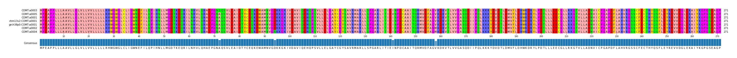 Multiple Alignments (by translate haplotype similarity)