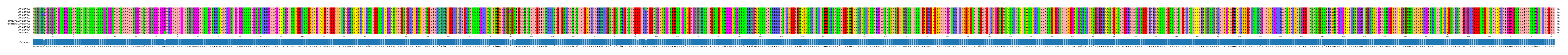 Multiple Alignments (by translate haplotype similarity)