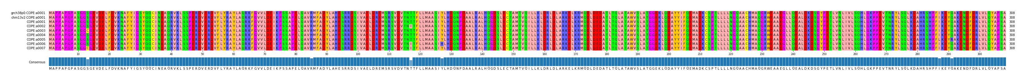 Multiple Alignments (by translate haplotype frequency)