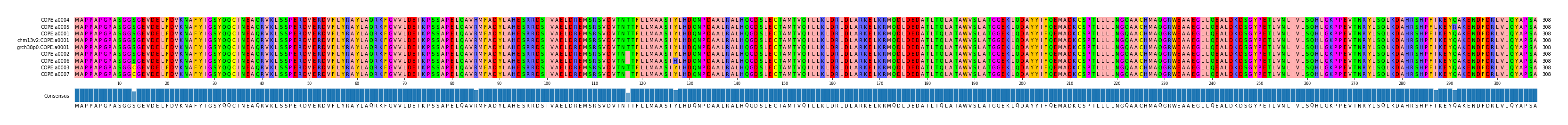 Multiple Alignments (by translate haplotype similarity)
