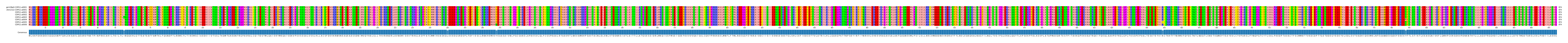 Multiple Alignments (by translate haplotype frequency)