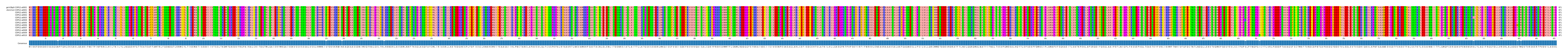 Multiple Alignments (by translate haplotype frequency)