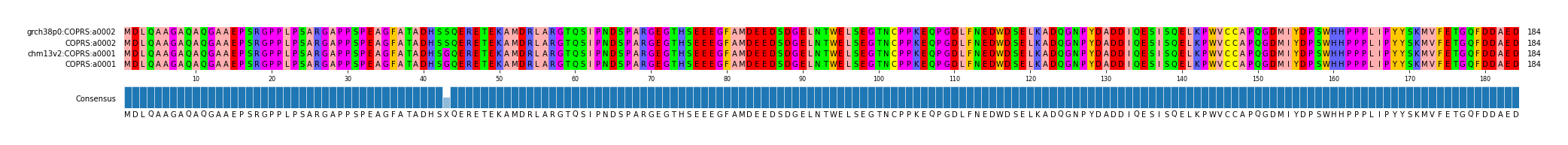 Multiple Alignments (by translate haplotype similarity)