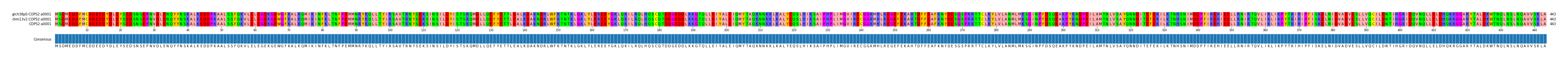 Multiple Alignments (by translate haplotype similarity)