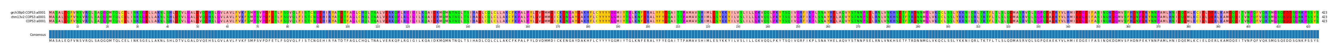 Multiple Alignments (by translate haplotype similarity)