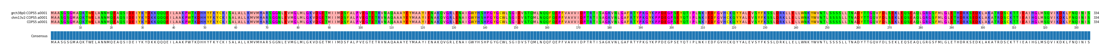 Multiple Alignments (by translate haplotype similarity)