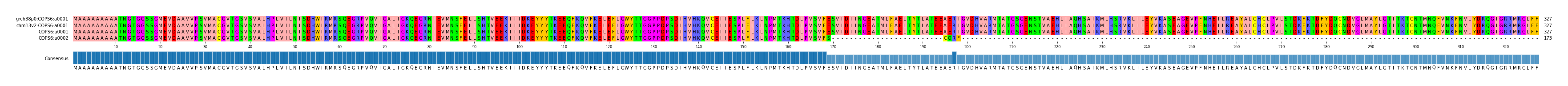 Multiple Alignments (by translate haplotype similarity)