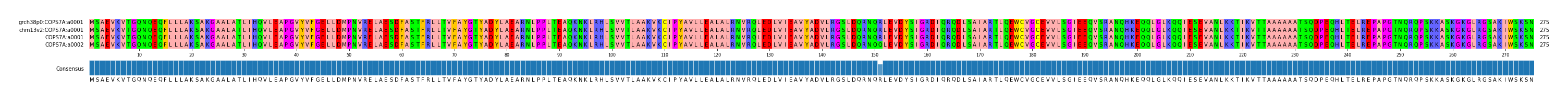 Multiple Alignments (by translate haplotype frequency)