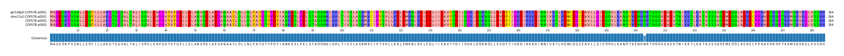 Multiple Alignments (by translate haplotype similarity)