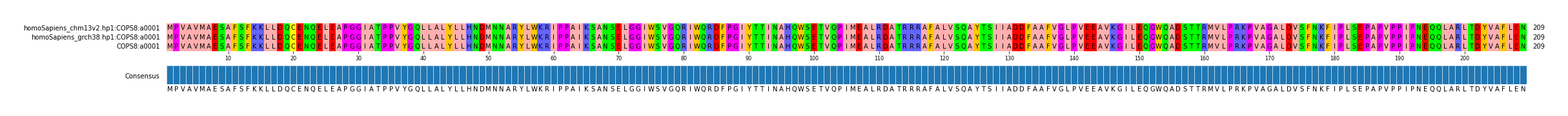 Multiple Alignments (by translate haplotype similarity)