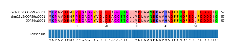 Multiple Alignments (by translate haplotype similarity)