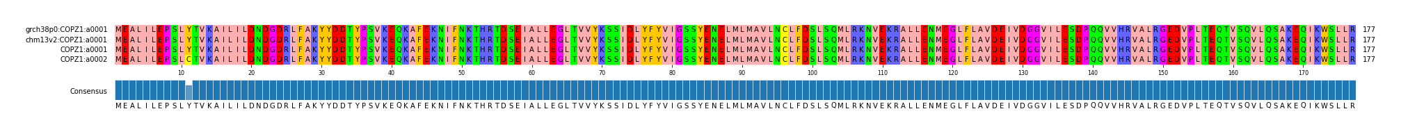 Multiple Alignments (by translate haplotype similarity)