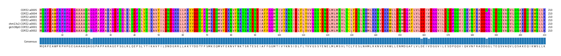 Multiple Alignments (by translate haplotype similarity)