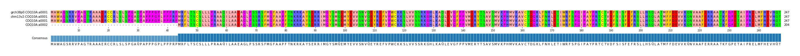 Multiple Alignments (by translate haplotype similarity)