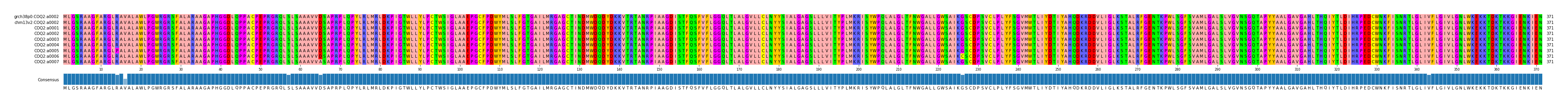Multiple Alignments (by translate haplotype frequency)