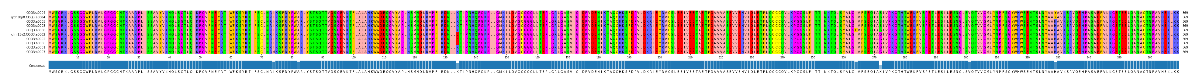 Multiple Alignments (by translate haplotype similarity)