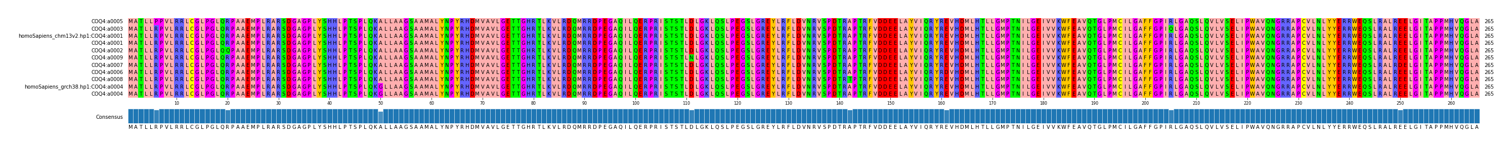 Multiple Alignments (by translate haplotype similarity)