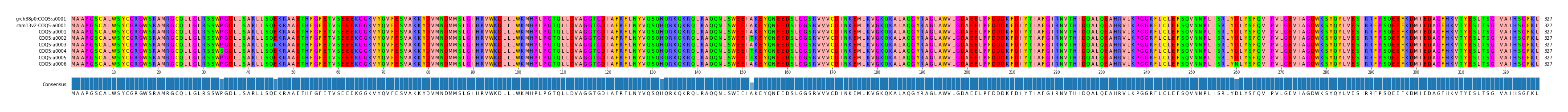 Multiple Alignments (by translate haplotype frequency)