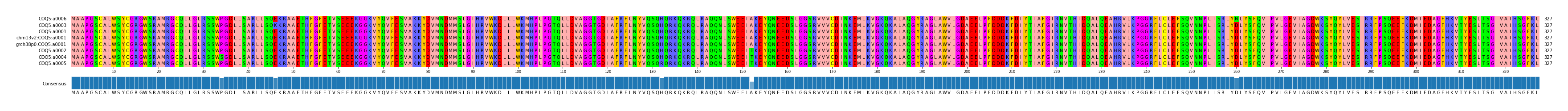 Multiple Alignments (by translate haplotype similarity)