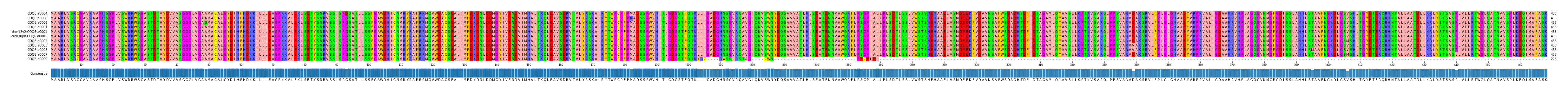 Multiple Alignments (by translate haplotype similarity)