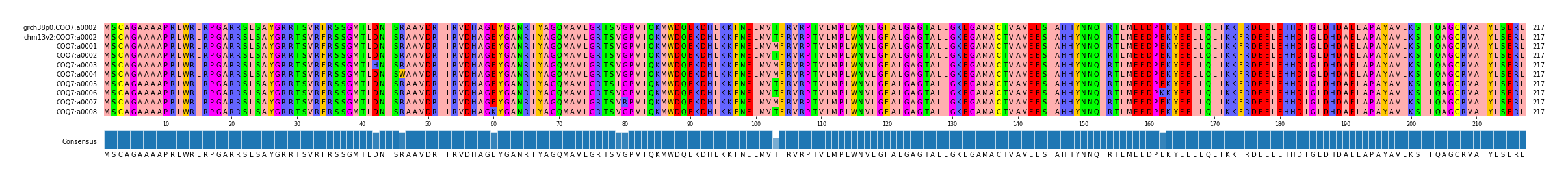 Multiple Alignments (by translate haplotype frequency)
