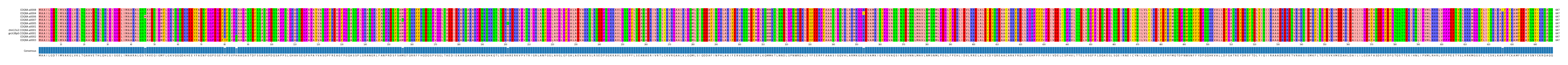 Multiple Alignments (by translate haplotype similarity)