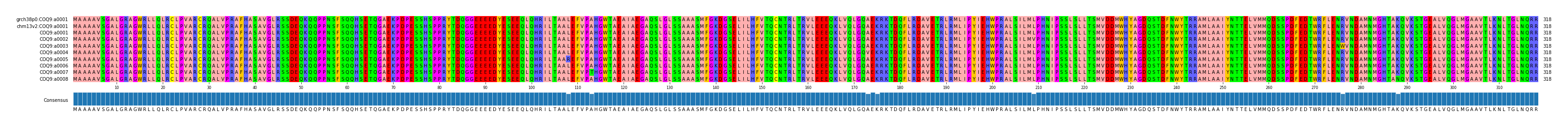 Multiple Alignments (by translate haplotype frequency)