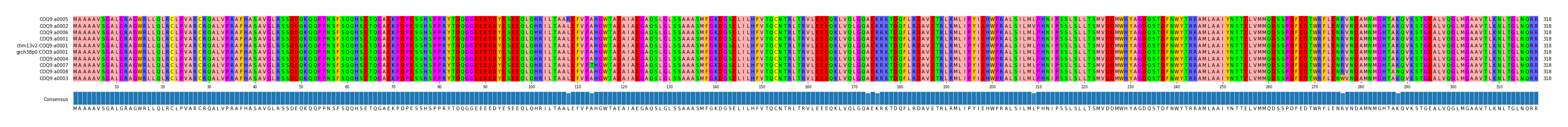 Multiple Alignments (by translate haplotype similarity)