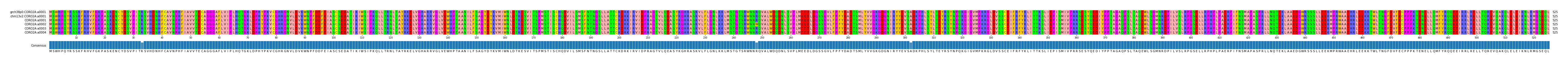 Multiple Alignments (by translate haplotype frequency)