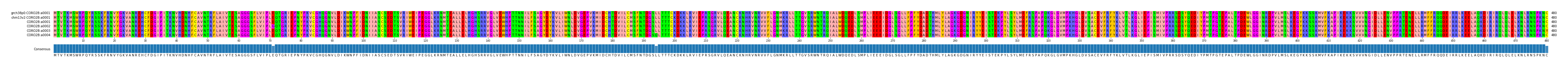 Multiple Alignments (by translate haplotype frequency)