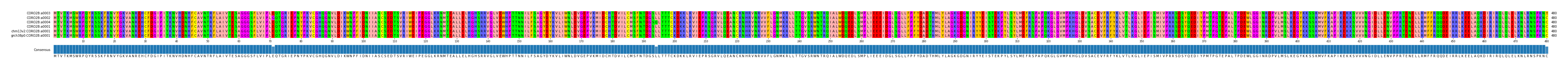Multiple Alignments (by translate haplotype similarity)