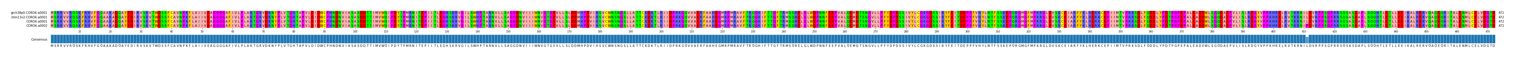 Multiple Alignments (by translate haplotype similarity)