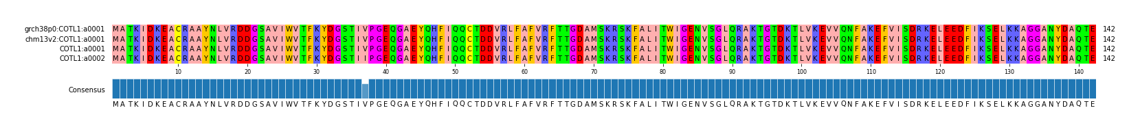 Multiple Alignments (by translate haplotype similarity)