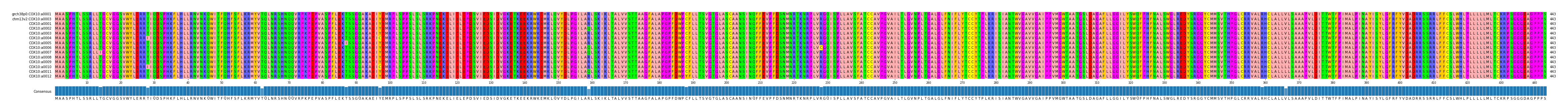 Multiple Alignments (by translate haplotype frequency)