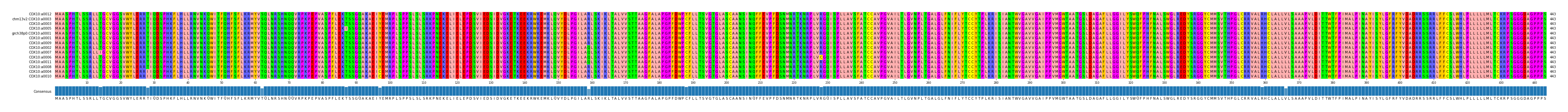Multiple Alignments (by translate haplotype similarity)