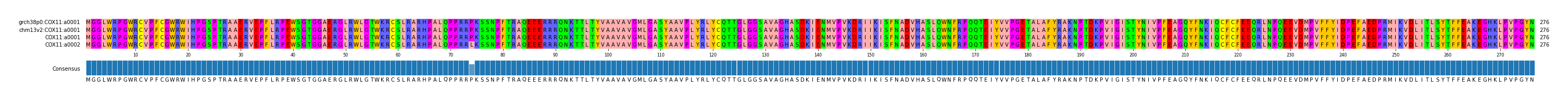 Multiple Alignments (by translate haplotype frequency)