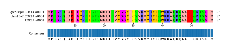 Multiple Alignments (by translate haplotype similarity)