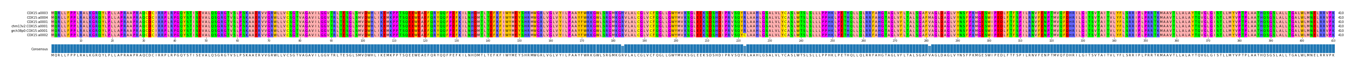 Multiple Alignments (by translate haplotype similarity)