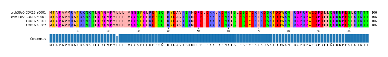 Multiple Alignments (by translate haplotype similarity)