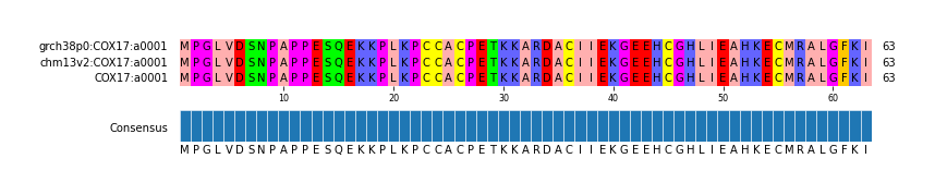 Multiple Alignments (by translate haplotype similarity)